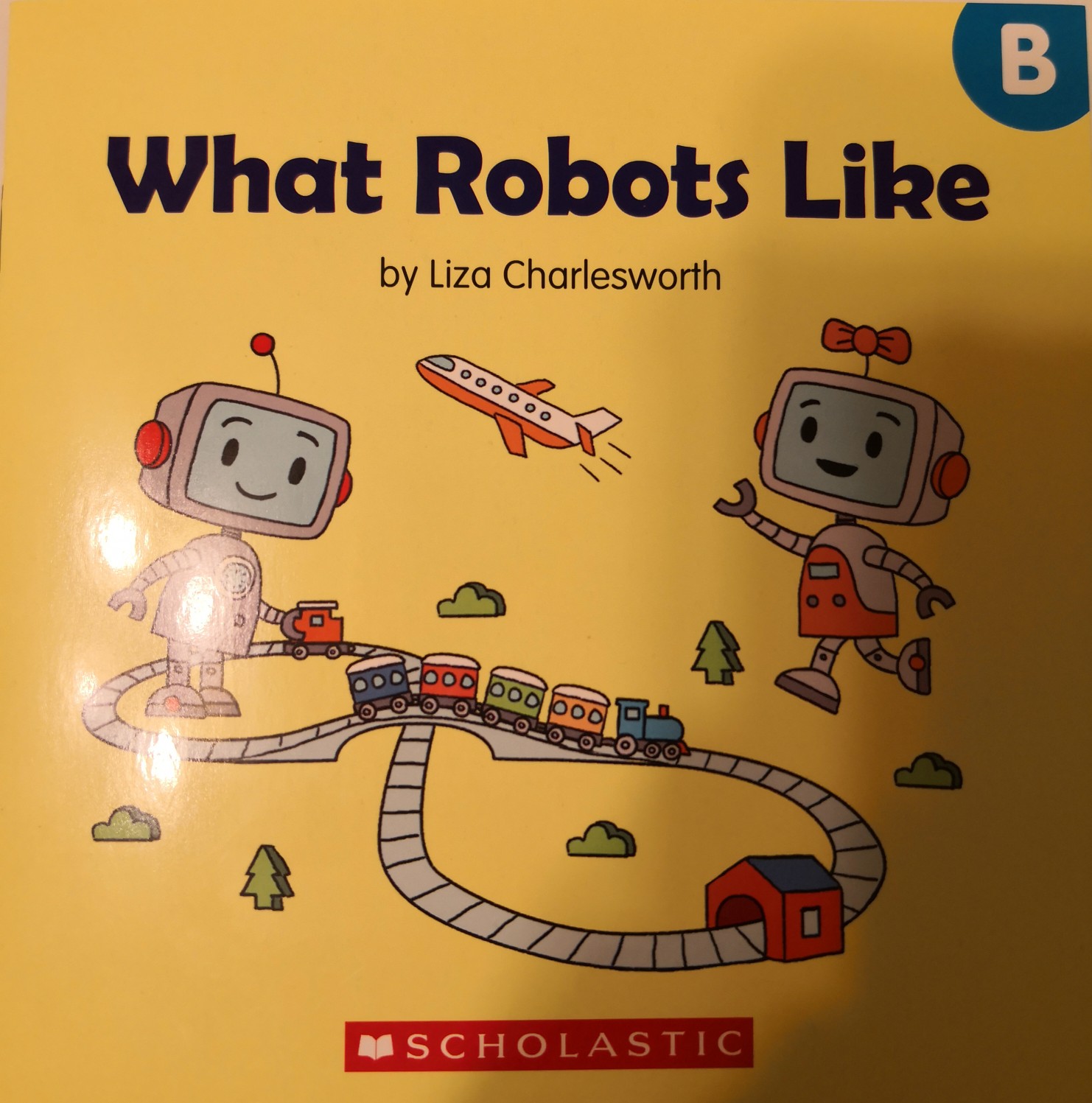 Buddy Readers level B: what robots lik