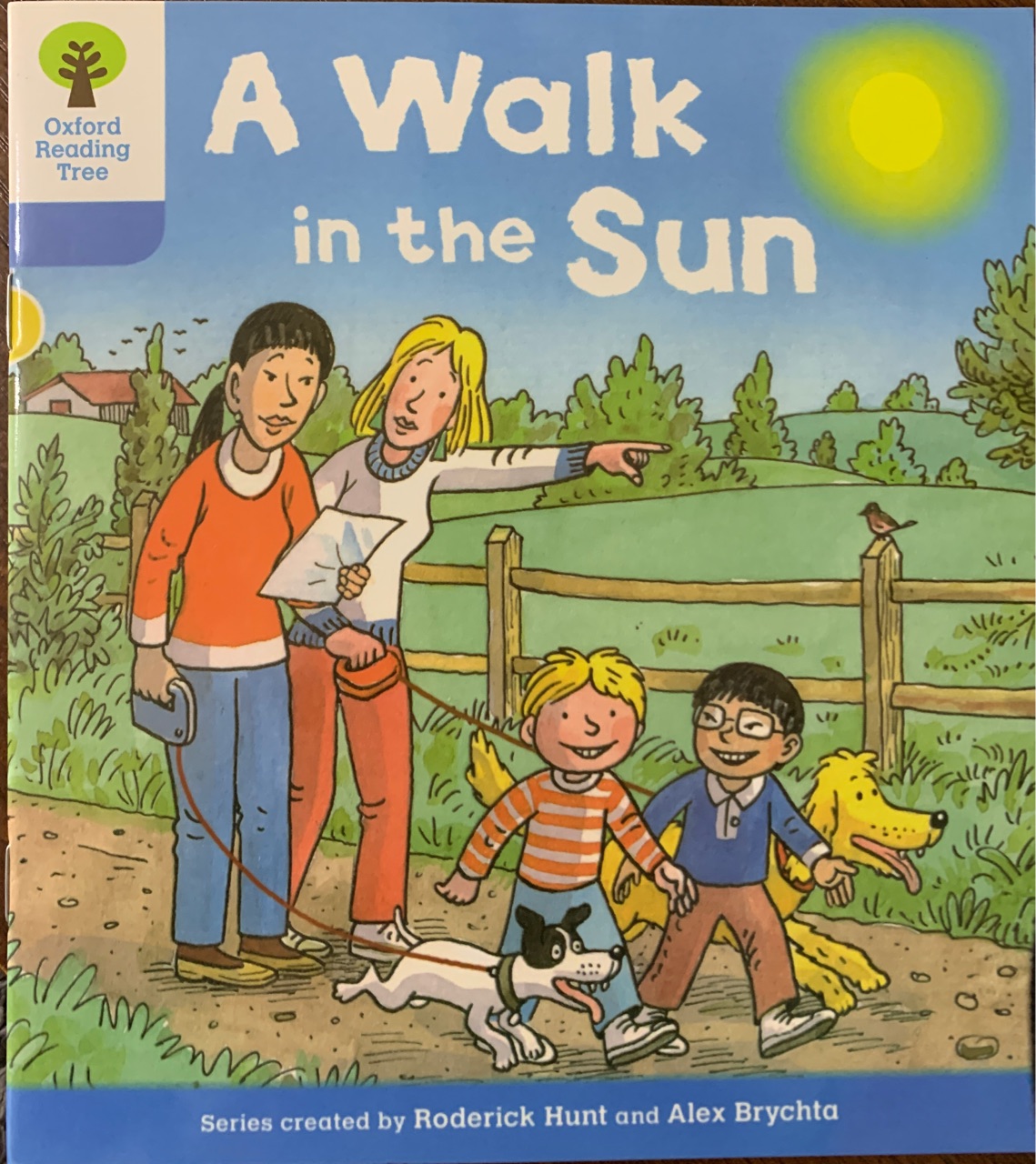 Oxford Reading Tree DD3-40:A Walk in t