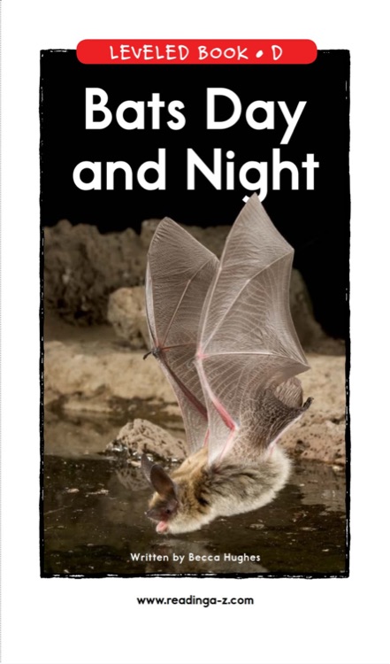 07 Bats Day and Night (RAZ D)