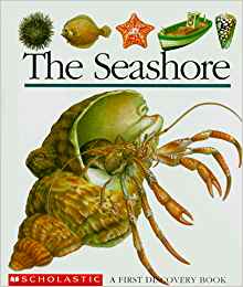 The Seashore (First Discovery Books)