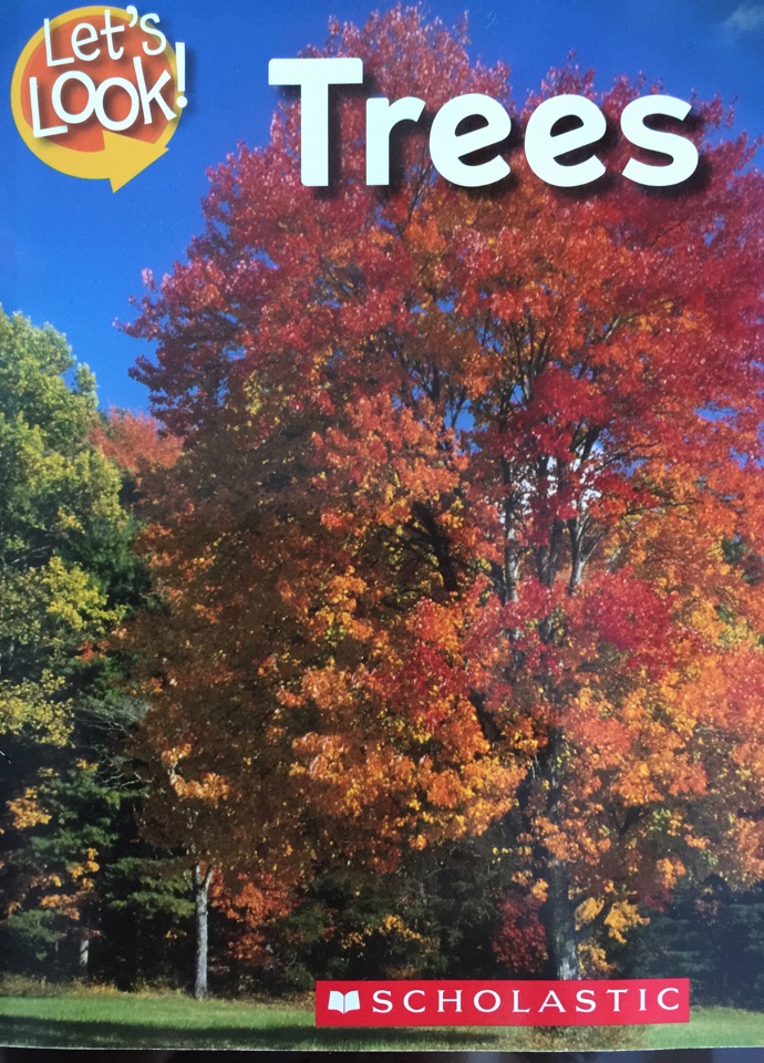 Let's Look At Trees