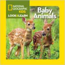National Geographic Kids Look and Lear