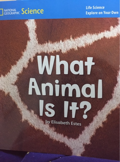 What Animal Is It?