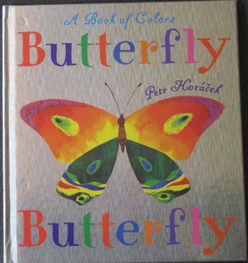 Butterfly Butterfly: A Book of Colors