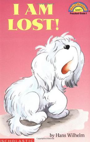 I Am Lost