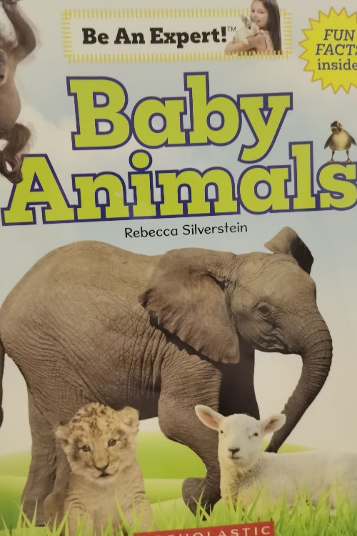 Be an expert baby animals.