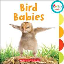 Bird Babies (Rookie Toddler)