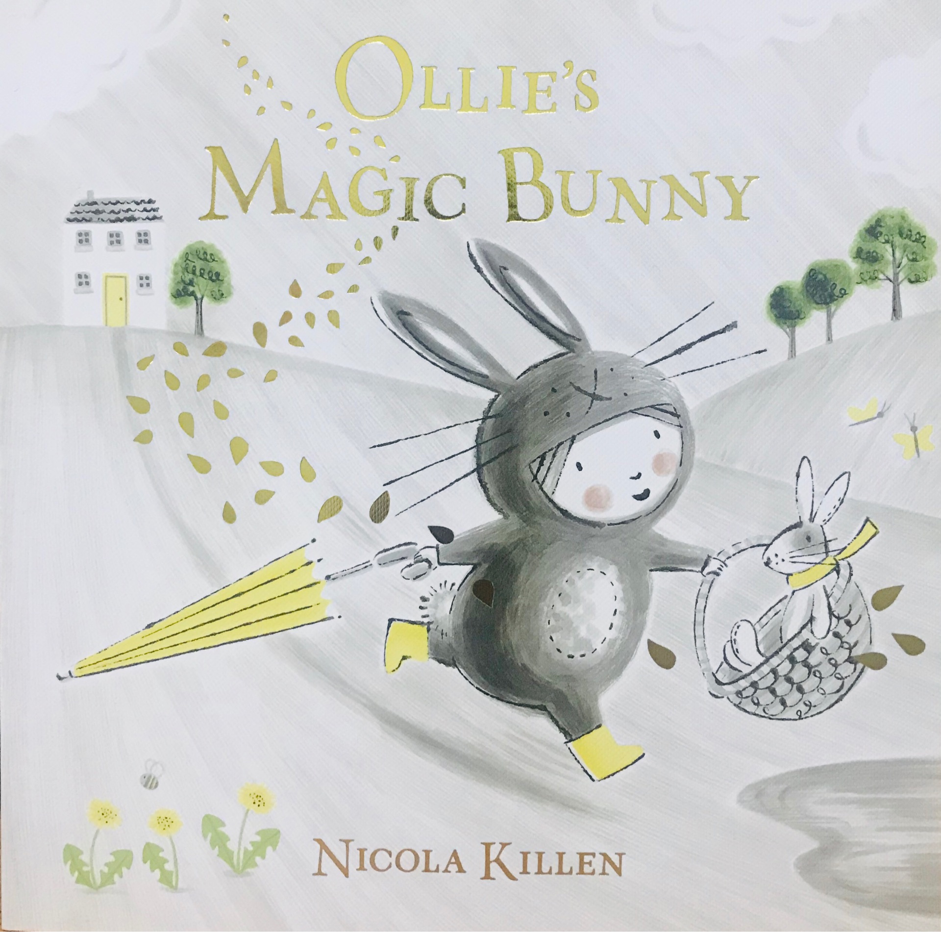Ollie's magic bunny