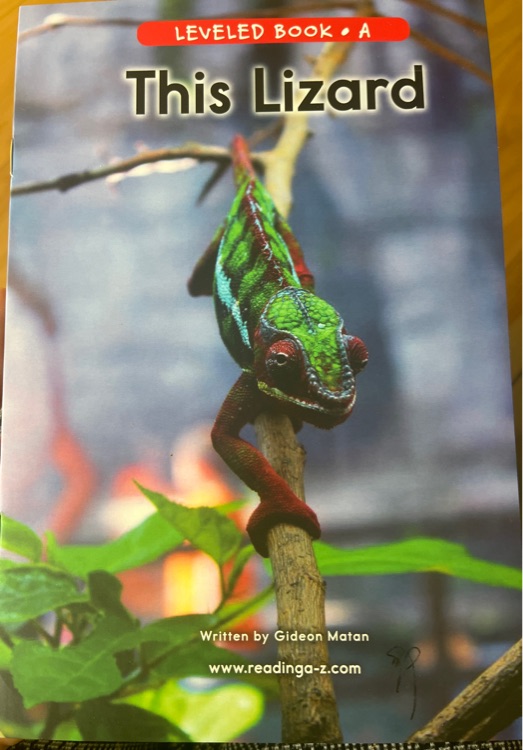 This Lizard (RAZ A)