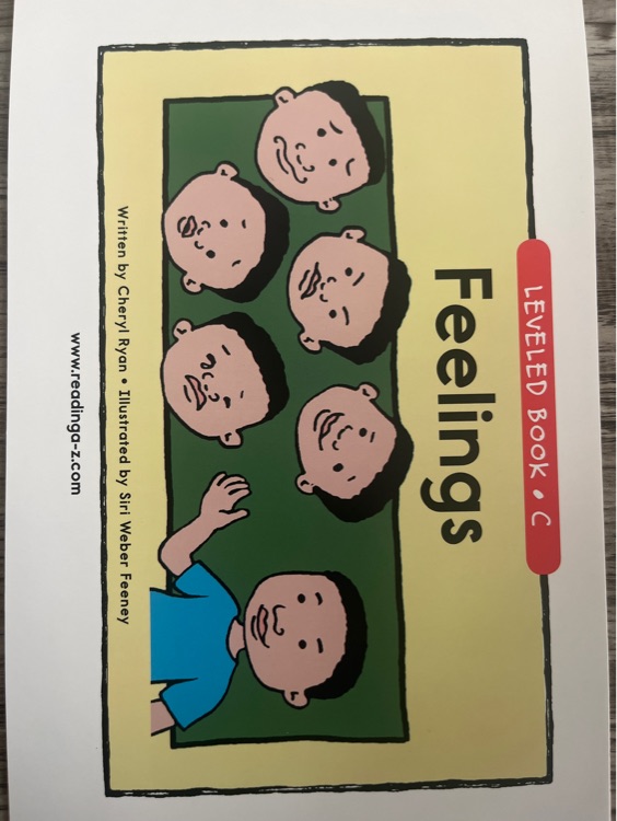 Feelings