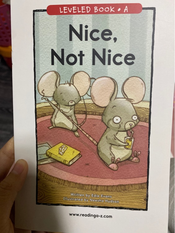 Nice Not Nice