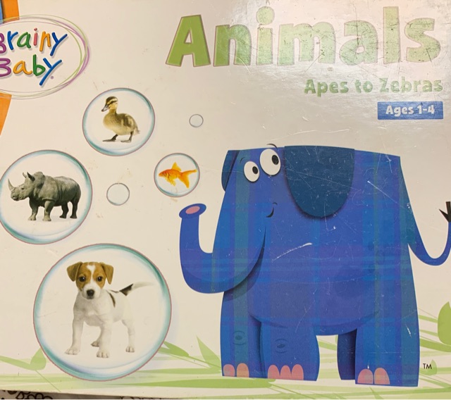 Animals(Apes to Zebras)