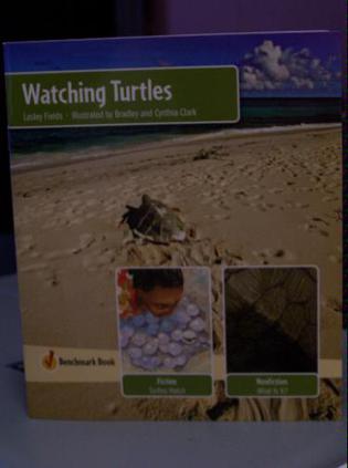 Lbd Gka Funf Watching Turtles