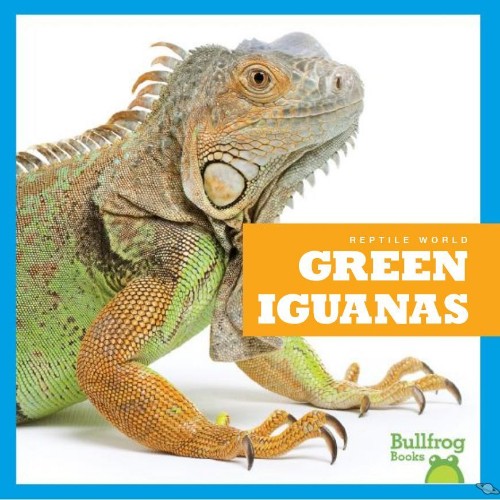 Green Iguanas