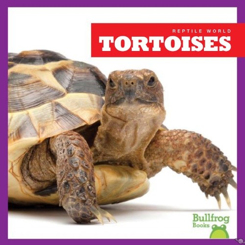Tortoises
