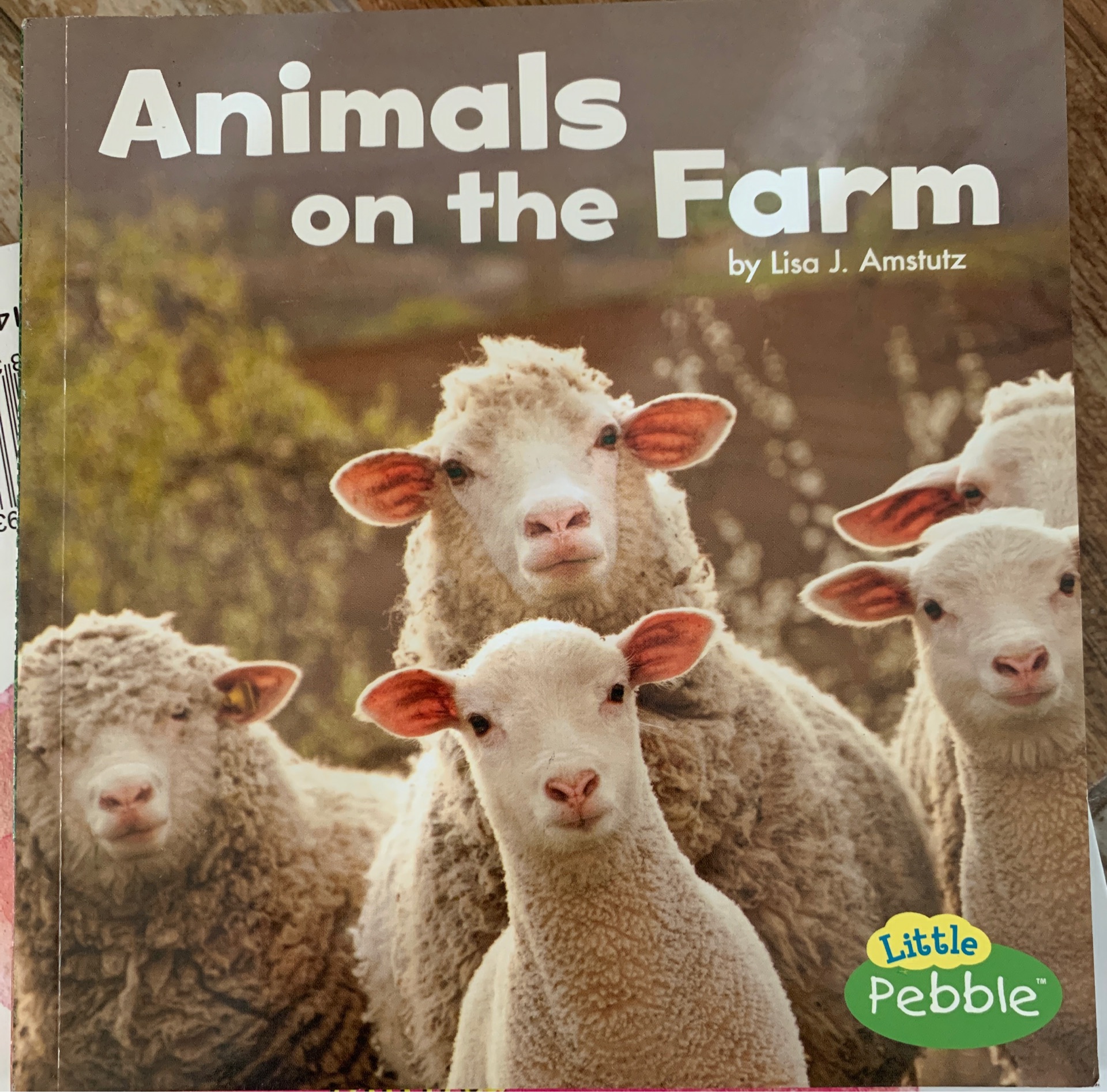 animals on the farm