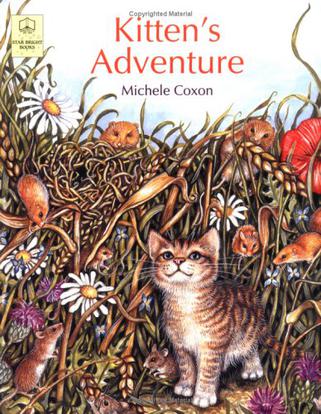 Kitten's Adventure