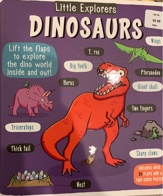 Little Explorers DINOSAURS