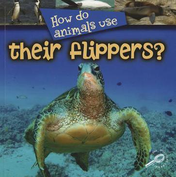 How Do Animals Use Their Flipp