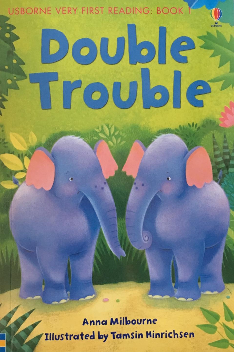 Usborne My First Reading Library: Doub