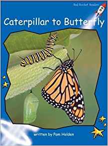 Caterpillar to Butterfly (Red Rocket R