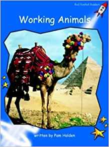 Working Animals: Early (Red Rocket Rea