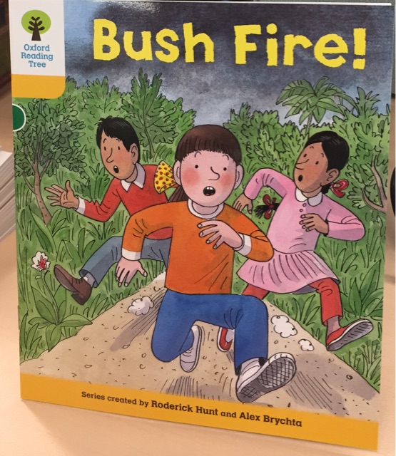 Oxford Reading Tree Level 5: Bush Fire