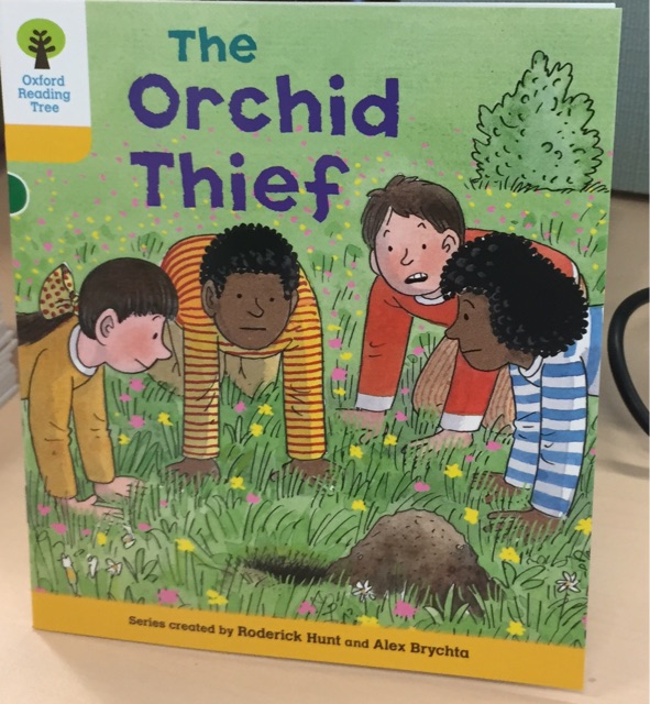 Oxford Reading Tree Level 5: The Orchi