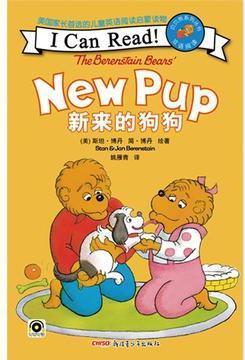 新来的狗狗