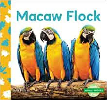 Macaw Flock (Animal Groups)