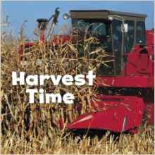 Harvest Time (Little Pebble: Celebrate