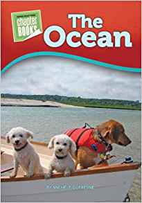 Ocean, The