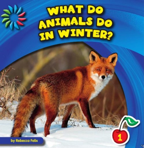 What Do Animals Do in Winter