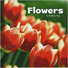 Flowers (Little Pebble: Celebrate Spri