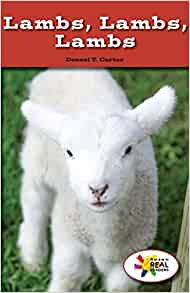 Lambs, Lambs, Lambs (Rosen Real Reader