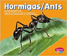 Ants (Bugs, Bugs, Bugs!)