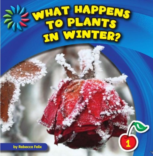 What Happens to Plants in Winter