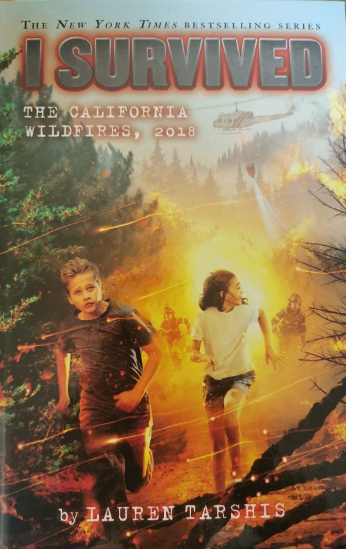 I survived The California wildfires 20