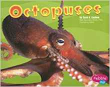 Octopuses (Under the Sea)