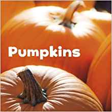 Pumpkins (Little Pebble: Celebrate Aut