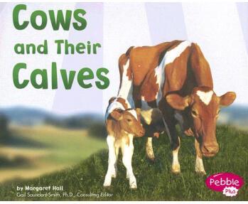 Cows and Their Calves