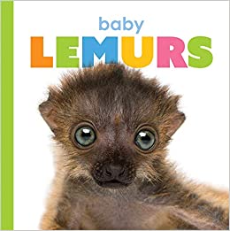 Baby Lemurs (Starting Out)