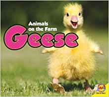Geese (Animals on the Farm (Hardcover)