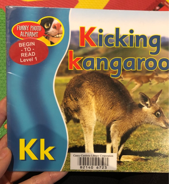 Kicking kangaroo