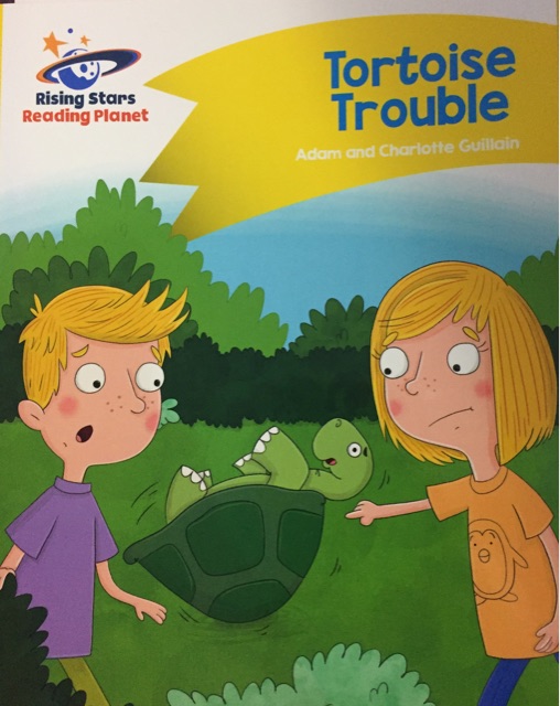 Tortoise Trouble