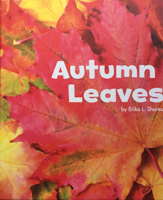 autumn leaves