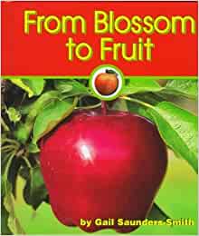 From Blossom to Fruit (Apples) by Gail