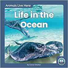 Life in the Ocean (Animals Live Here)