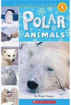 Polar Animals (POB) (LEVEL 1)