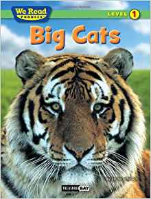 Big Cats (We Read Phonics - Level 1 (Q